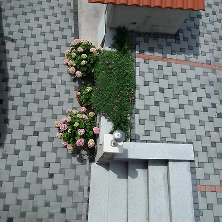Apartment Radalj *